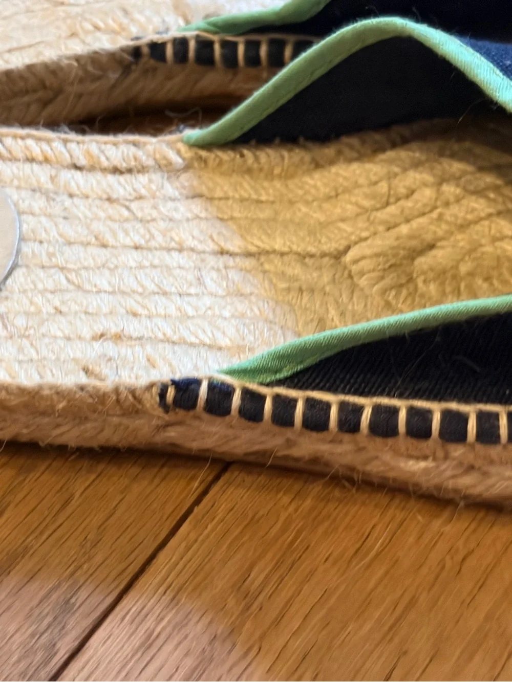 J. Crew Black Canvas Espadrille Mules with Green Trim & Dragonfly Embroidery